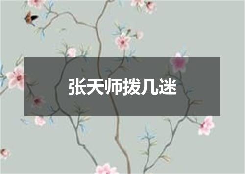 张天师拨几迷