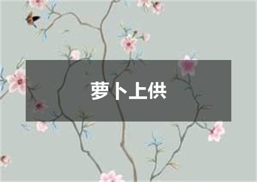 萝卜上供