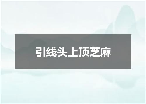 引线头上顶芝麻