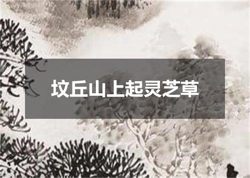 坟丘山上起灵芝草