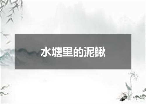 水塘里的泥鳅