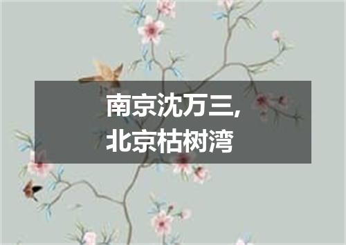 南京沈万三,北京枯树湾