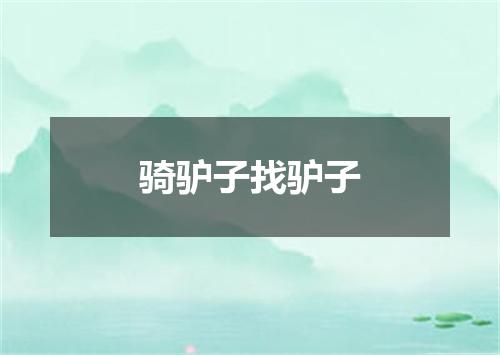骑驴子找驴子
