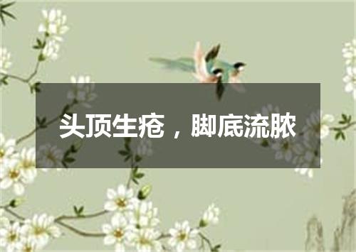 头顶生疮，脚底流脓
