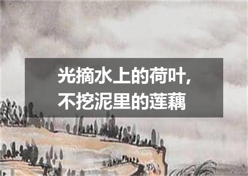 光摘水上的荷叶,不挖泥里的莲藕