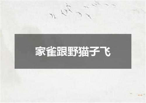 家雀跟野猫子飞