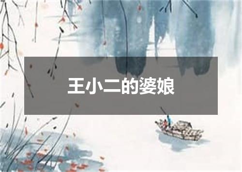 王小二的婆娘