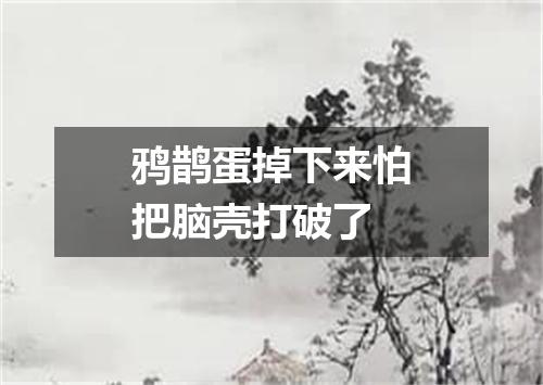 鸦鹊蛋掉下来怕把脑壳打破了
