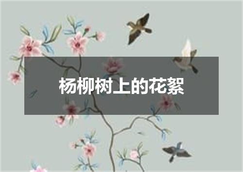 杨柳树上的花絮