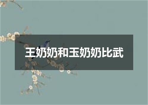王奶奶和玉奶奶比武