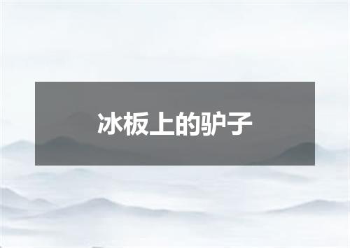 冰板上的驴子