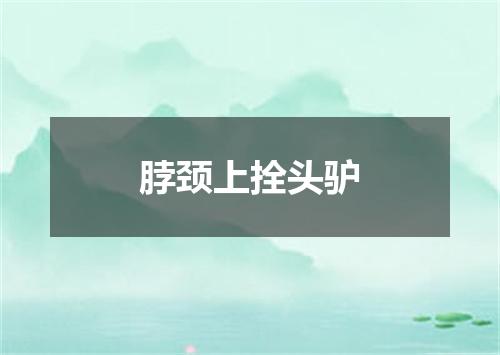 脖颈上拴头驴