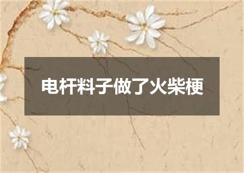 电杆料子做了火柴梗
