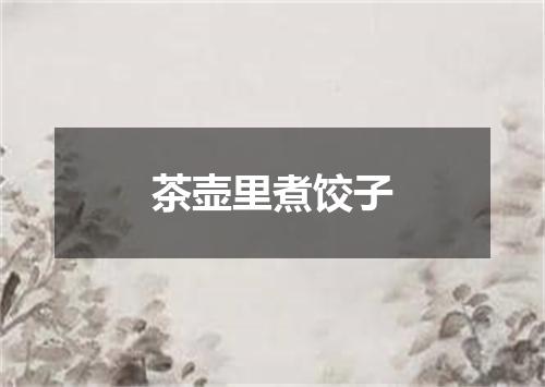 茶壶里煮饺子