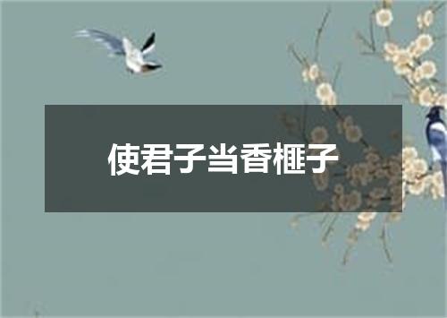 使君子当香榧子