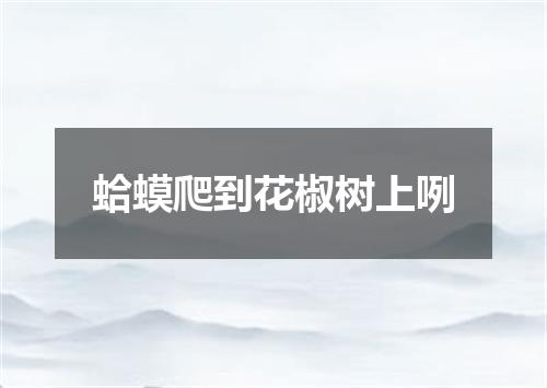 蛤蟆爬到花椒树上咧