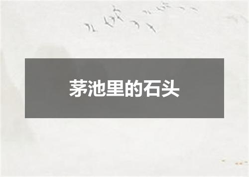 茅池里的石头