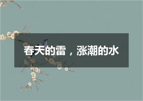 春天的雷，涨潮的水