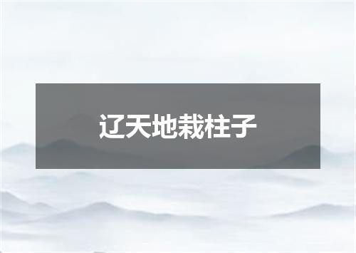 辽天地栽柱子