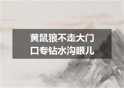 黄鼠狼不走大门口专钻水沟眼儿