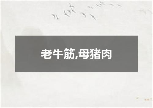 老牛筋,母猪肉