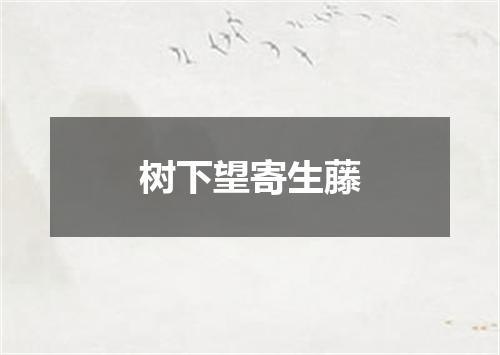 树下望寄生藤