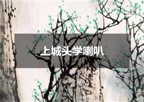 上城头学喇叭