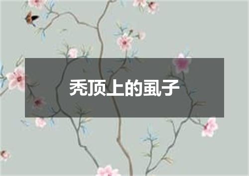 秃顶上的虱子