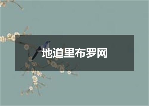 地道里布罗网
