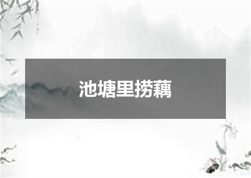 池塘里捞藕