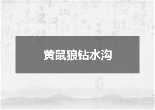 黄鼠狼钻水沟