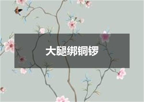 大腿绑铜锣
