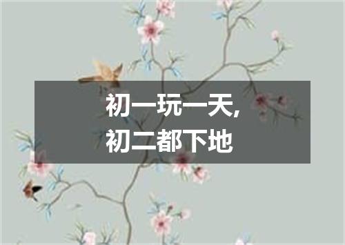 初一玩一天,初二都下地