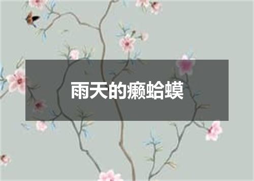 雨天的癞蛤蟆