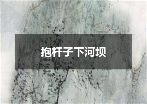抱杆子下河坝