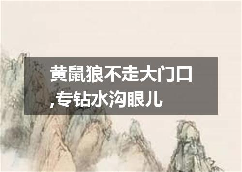黄鼠狼不走大门口,专钻水沟眼儿