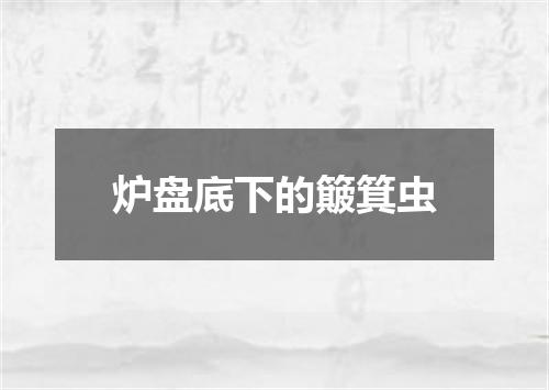 炉盘底下的簸箕虫