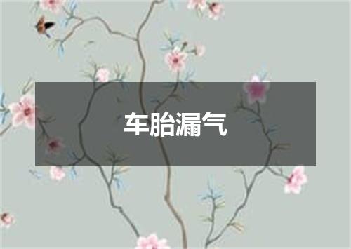车胎漏气