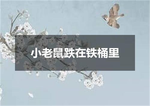 小老鼠跌在铁桶里