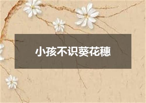 小孩不识葵花穗