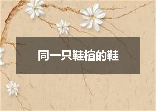 同一只鞋楦的鞋