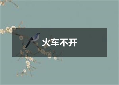 火车不开