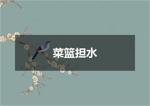 菜篮担水