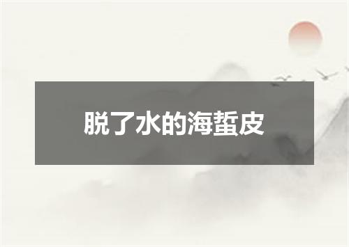 脱了水的海蜇皮