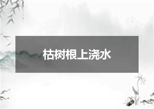 枯树根上浇水