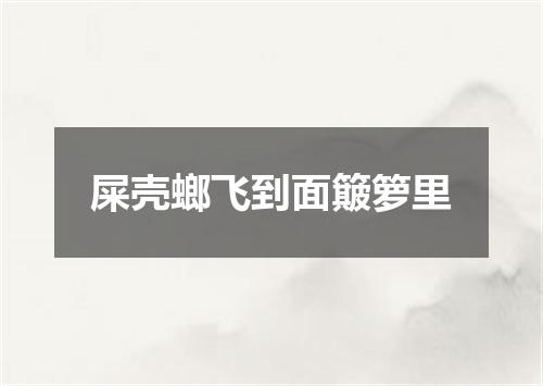 屎壳螂飞到面簸箩里