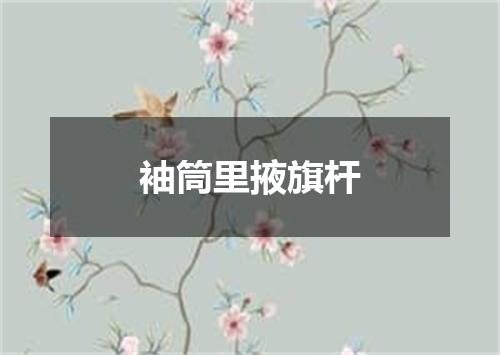 袖筒里掖旗杆