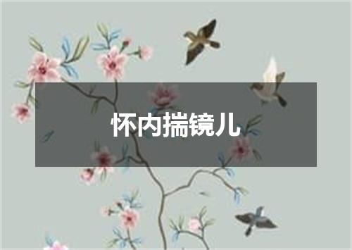 怀内揣镜儿