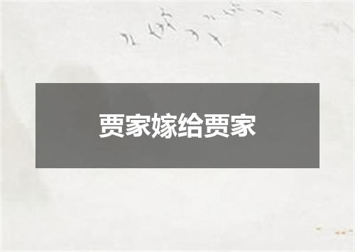 贾家嫁给贾家