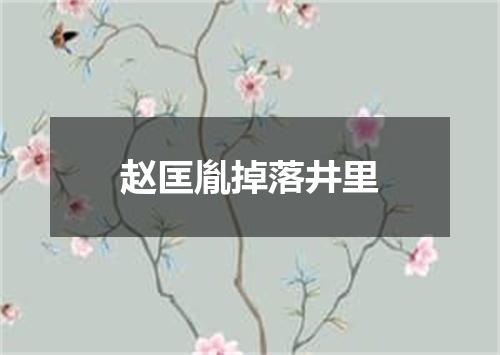 赵匡胤掉落井里